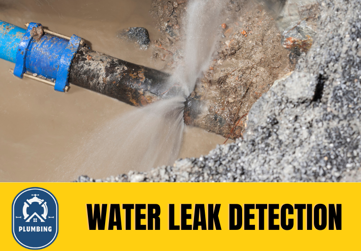 leak detection Cobham