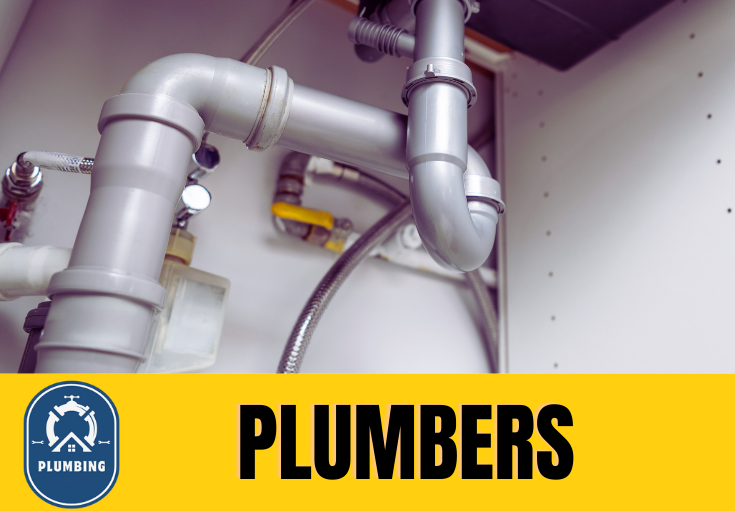  plumber Istead Rise